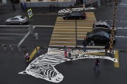 На Большой Грузинской рядом с Московским зоопарком появилась Нарисованная пешеходная зебра!